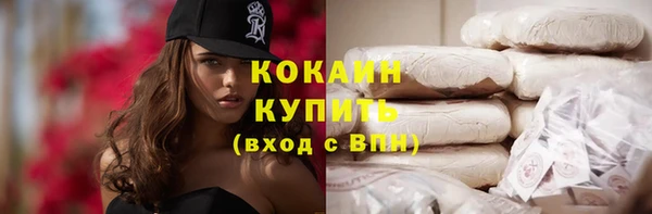 индика Алзамай