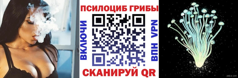 Псилоцибиновые грибы прущие грибы Тетюши