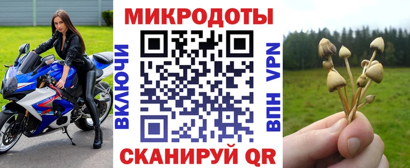 Псилоцибиновые грибы Magic Shrooms  Тетюши 